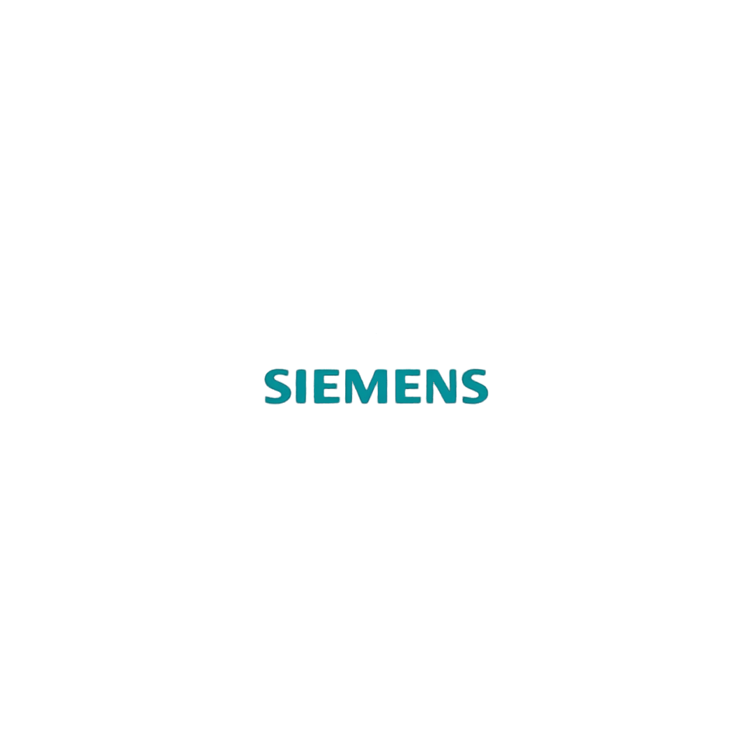 staunchcredence exporters (2)